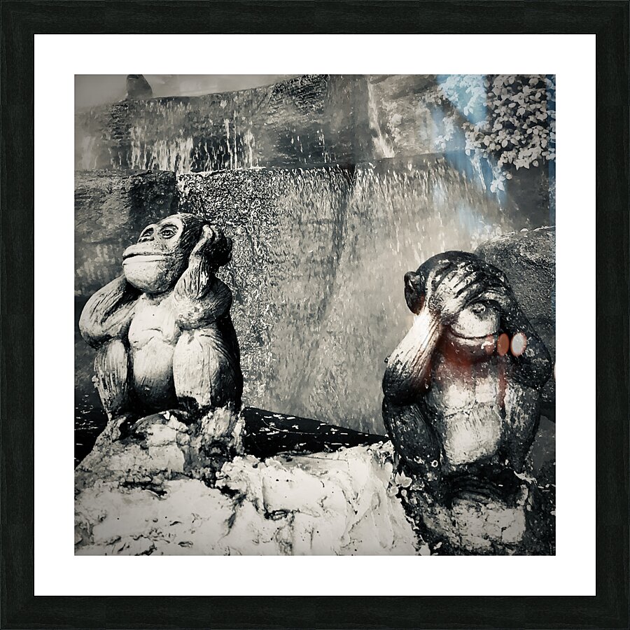 BW Didn t See it Didn t Hear it Monkeys Picture Frame print