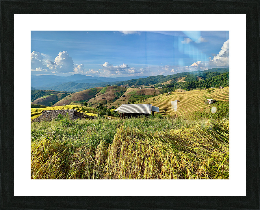 Colorful Rice Fields Picture Frame print
