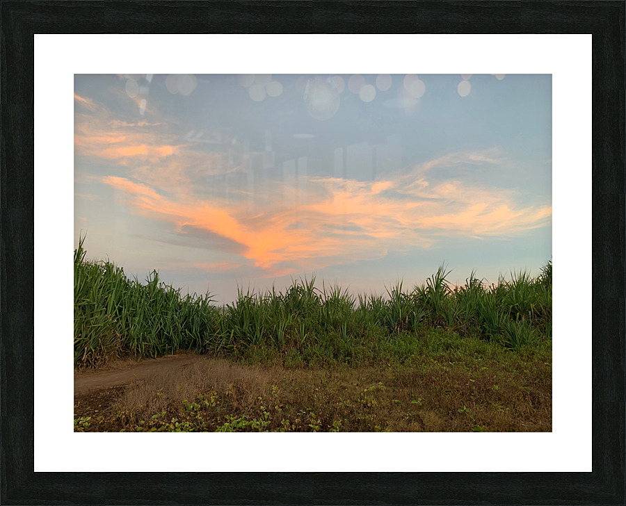 Calming Sky Picture Frame print