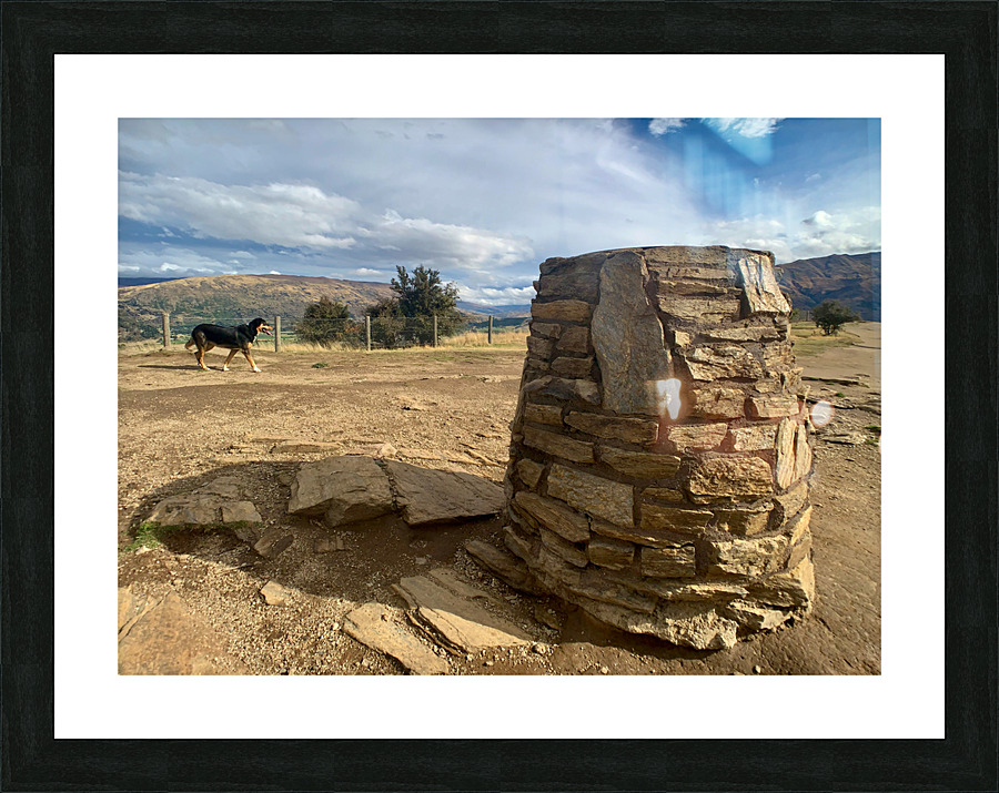 Dog on the Top of Mount Iron New Zealand Picture Frame print