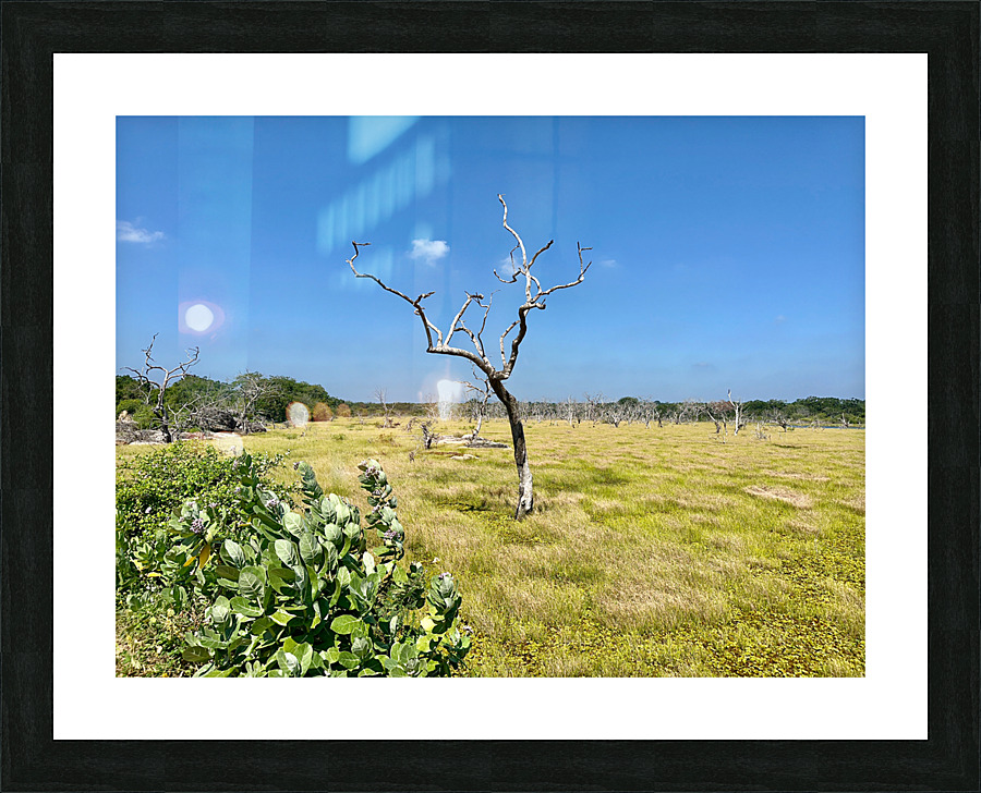 Yala National Park Sri Lanka 2 Picture Frame print