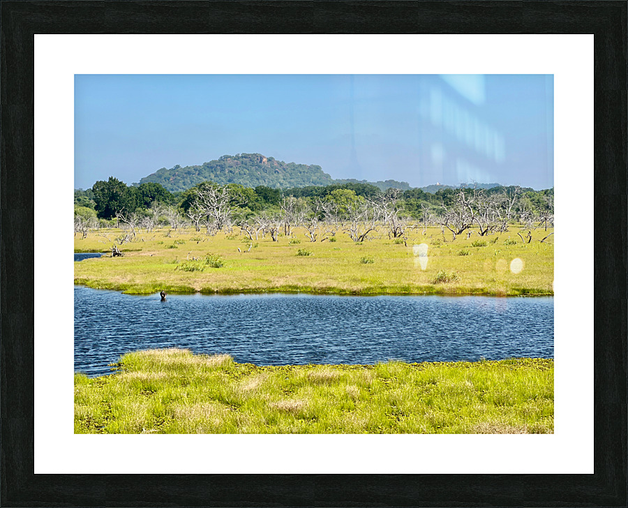 Yala National Park Sri Lanka Picture Frame print