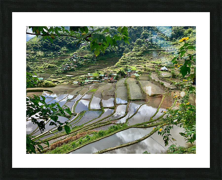 Banaue Philippines 11 Picture Frame print