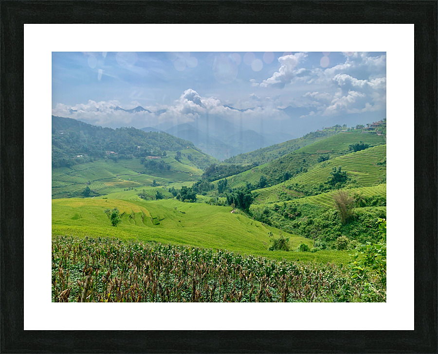 Rice Fields in Sapa 3 Picture Frame print