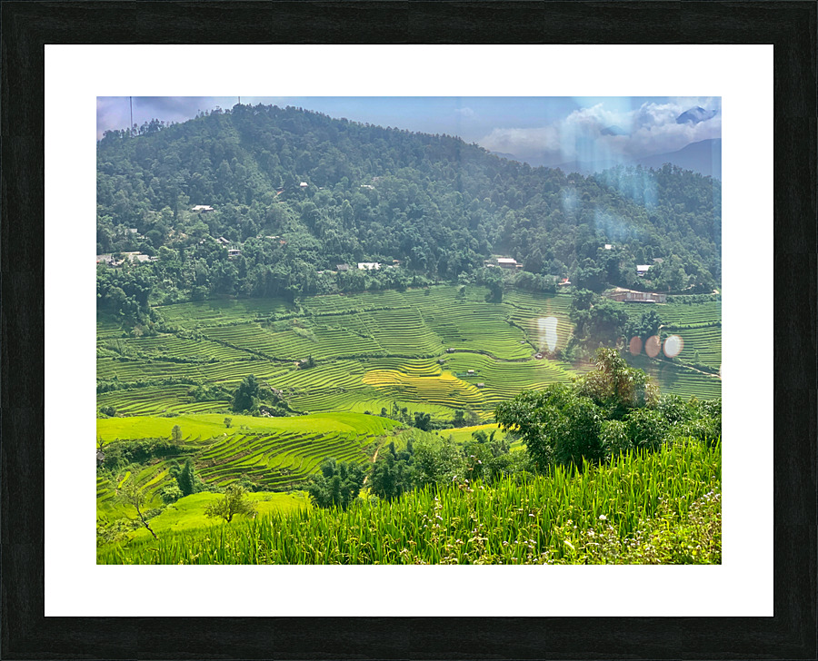 Rice Fields in Sapa 1 Picture Frame print