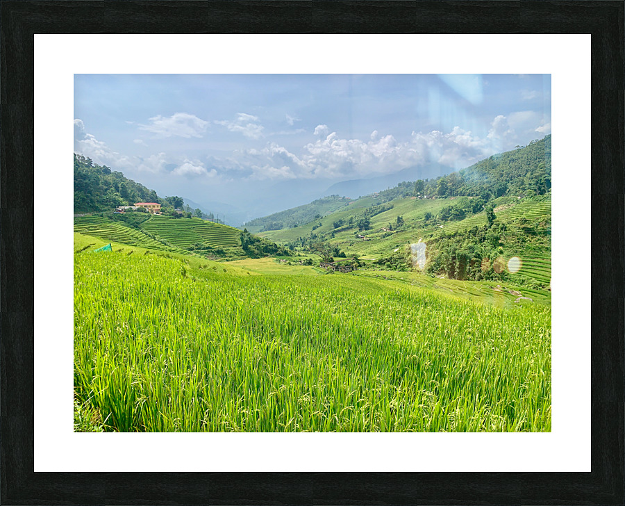 Rice Fields in Sapa 2 Picture Frame print