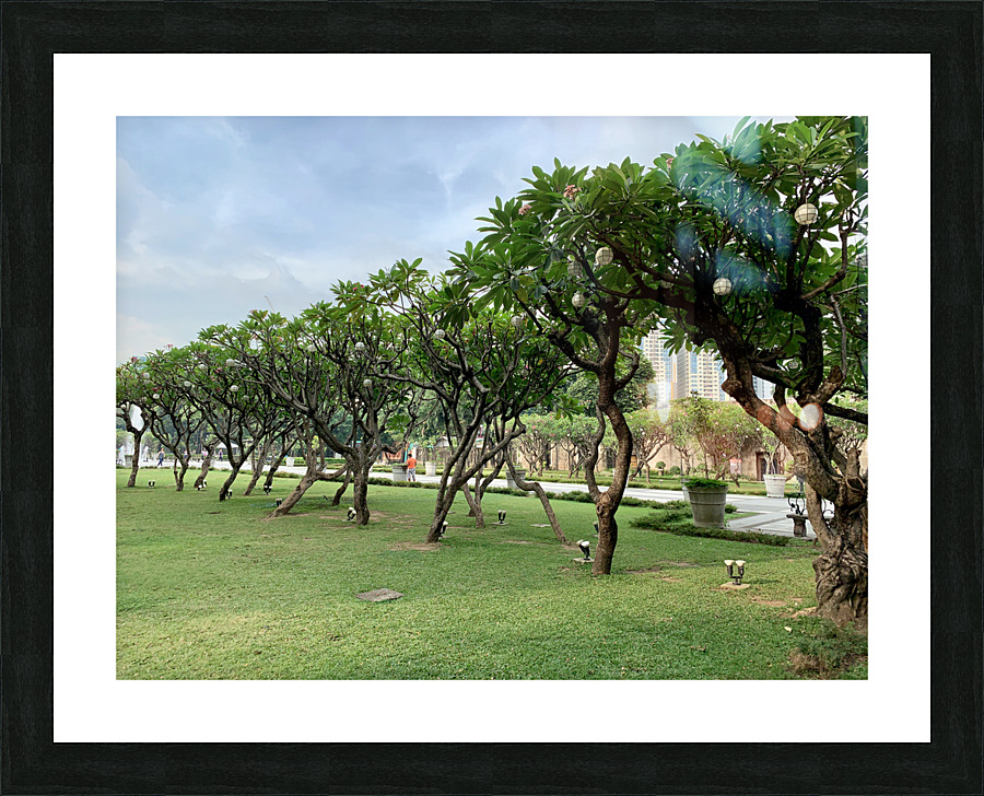 Tree in Line Picture Frame print