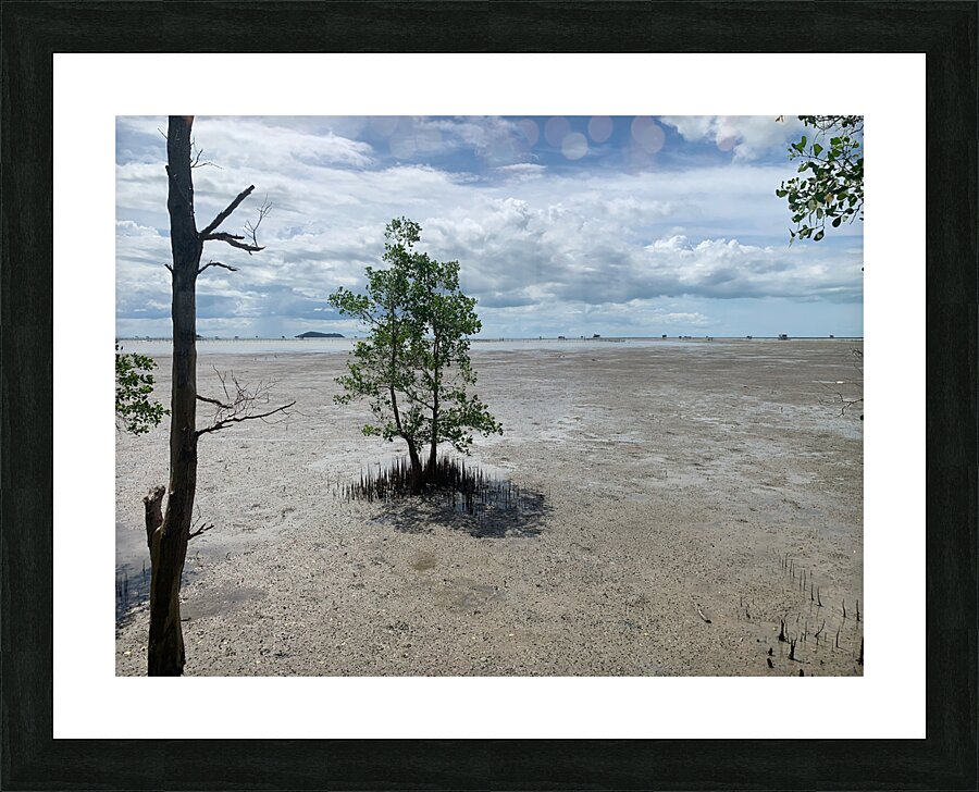 The Lonely Tree 2 Impression et Cadre photo