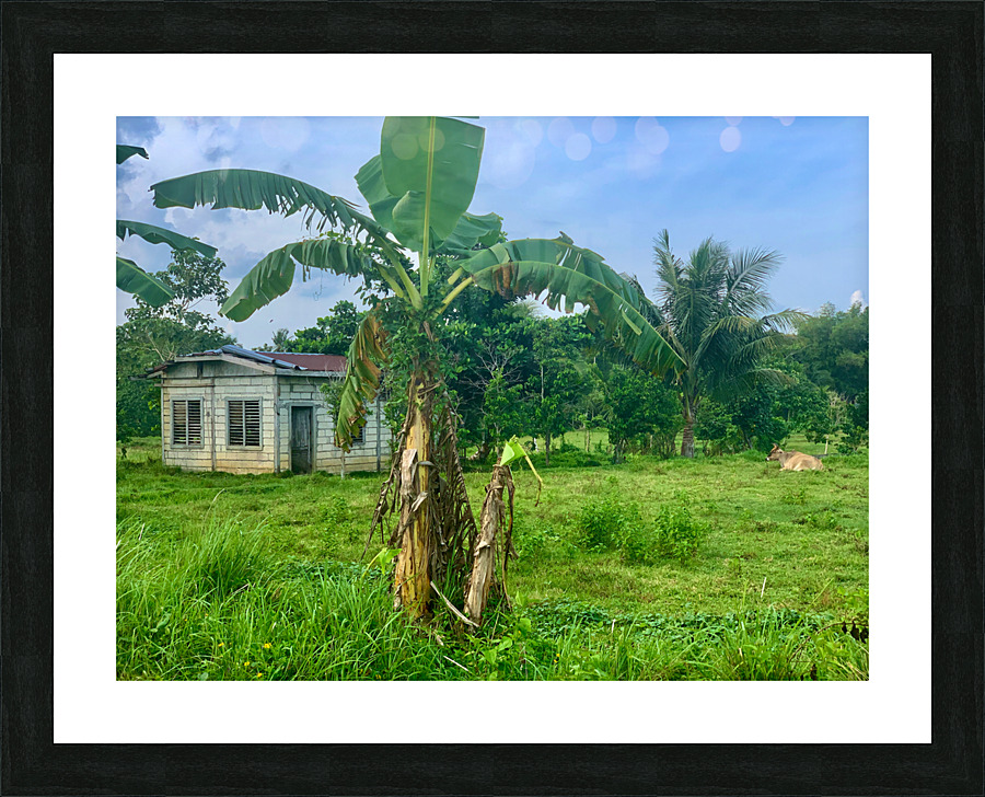 House on the Farm in the Philippines 1 Picture Frame print