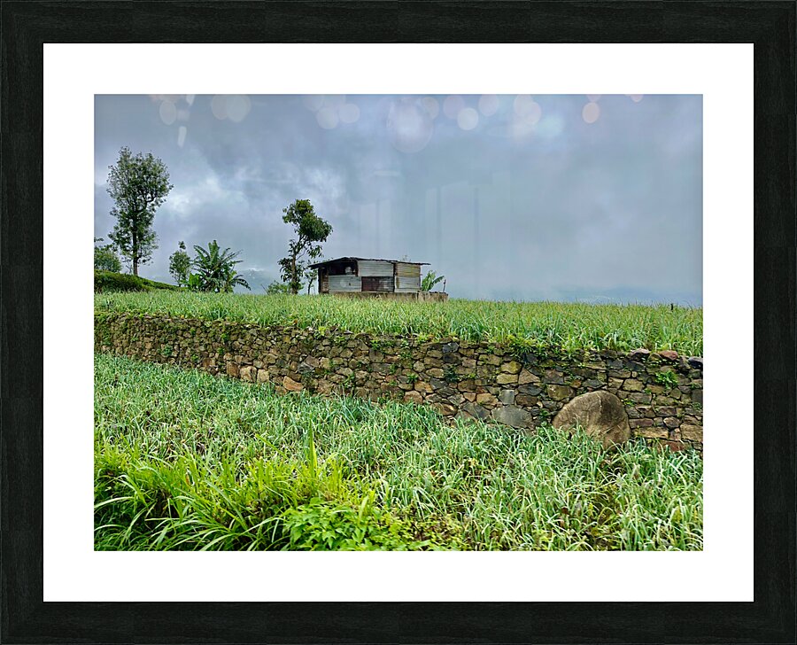 Leveled Field House Picture Frame print