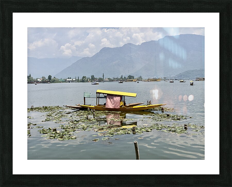 Dal Lake Srinagar 9 Picture Frame print