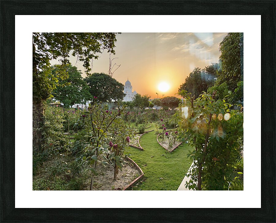 Golden Temple Amritsar 4 Picture Frame print