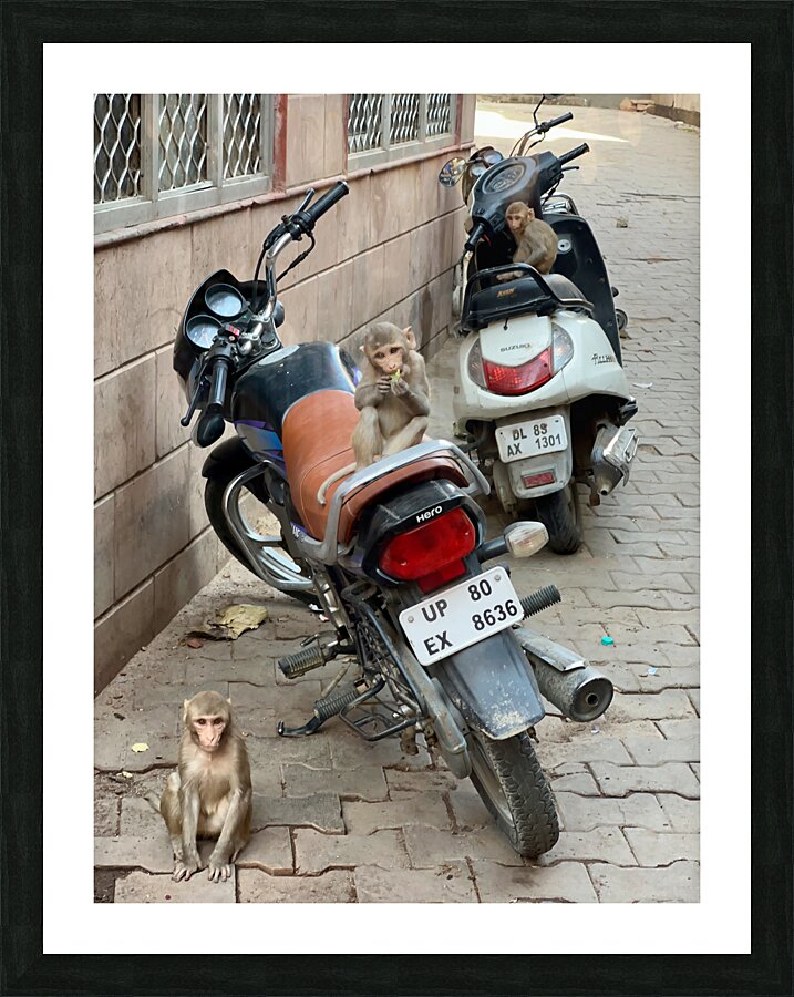 Monkey Bikers Picture Frame print