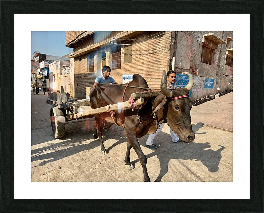 Special Delivery Picture Frame print