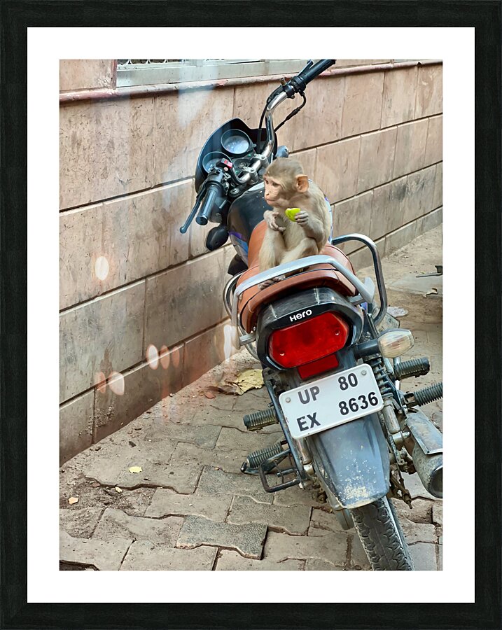 Snack Rider Picture Frame print