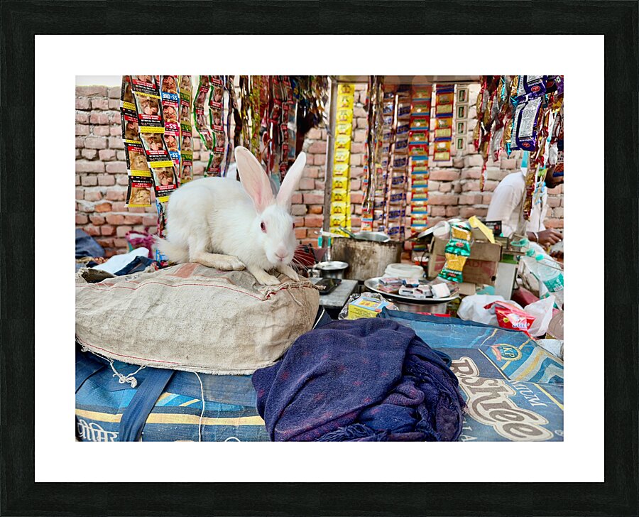 Rabit Magic Picture Frame print