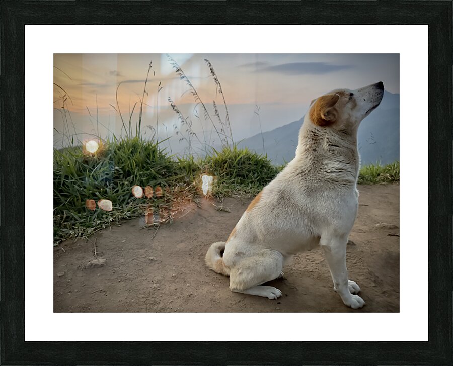 Ella Mountain Dog Picture Frame print