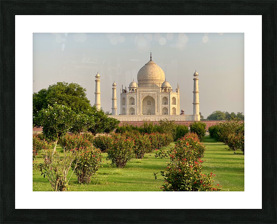 The Taj Mahal Collection 7 Picture Frame print