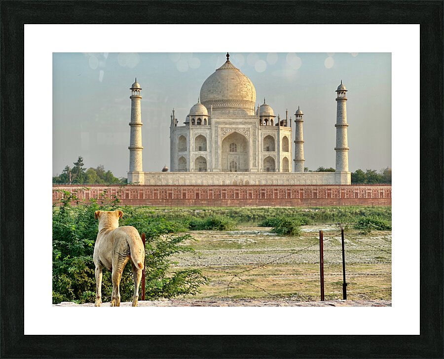 The Taj Mahal Collection 9 Impression et Cadre photo