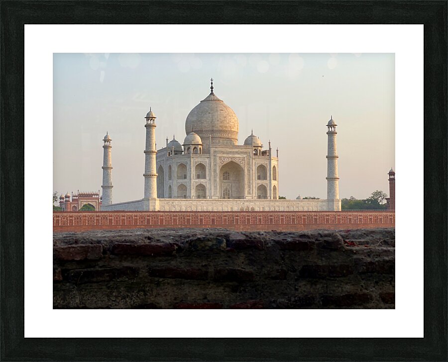 The Taj Mahal Collection 11 Picture Frame print