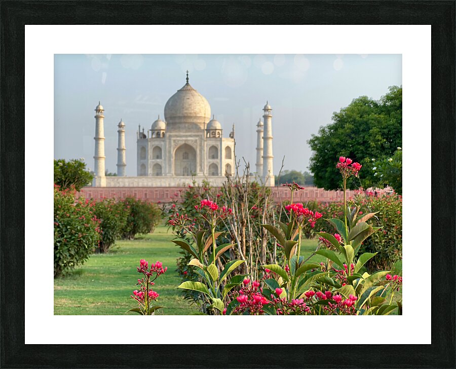 The Taj Mahal Collection 1 Picture Frame print