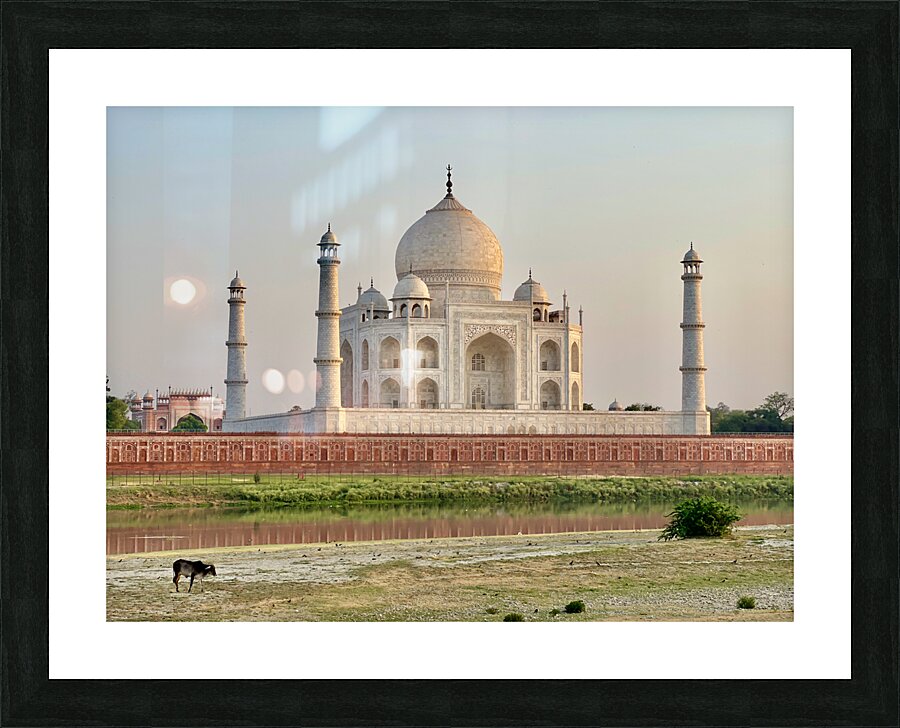 The Taj Mahal Collection 12 Picture Frame print