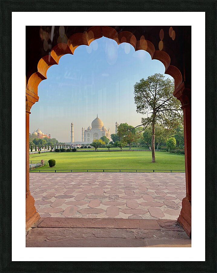 The Taj Mahal Collection 27 Picture Frame print