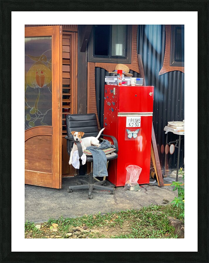 The Red Fridge and the Dog 1 Picture Frame print