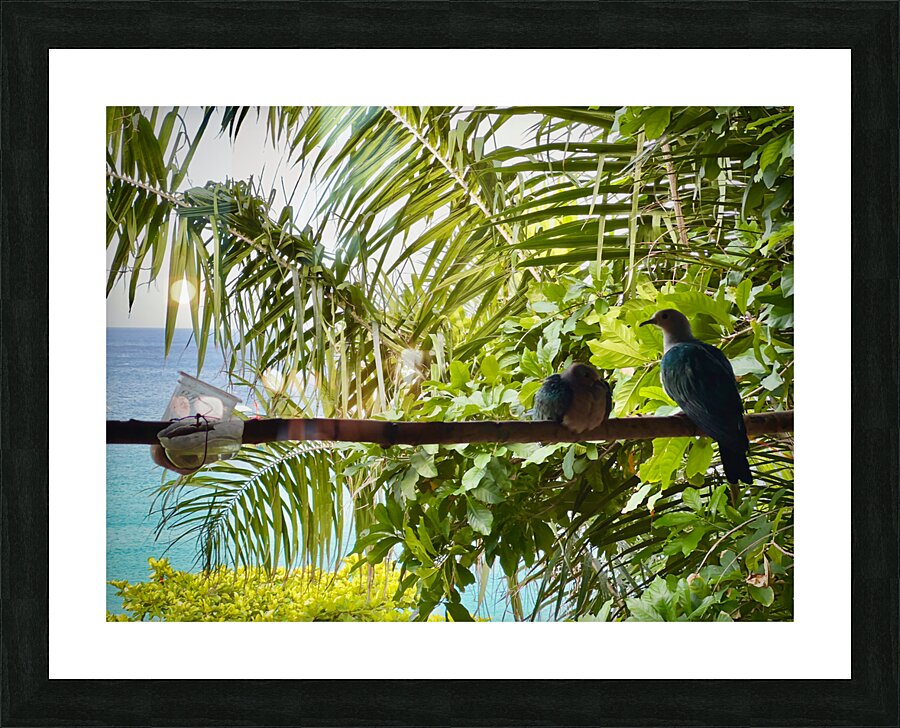 Bird Couple Koh Tao Thailand Picture Frame print