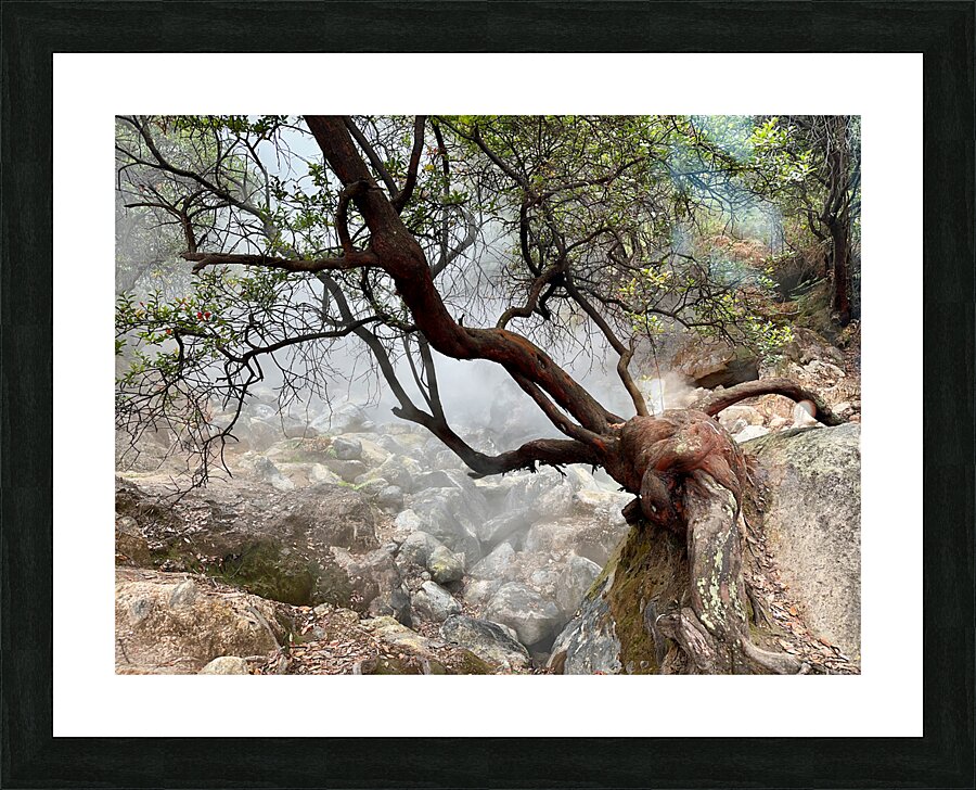 Cibuni Rengganis Crater Java Indonesia 7 Picture Frame print