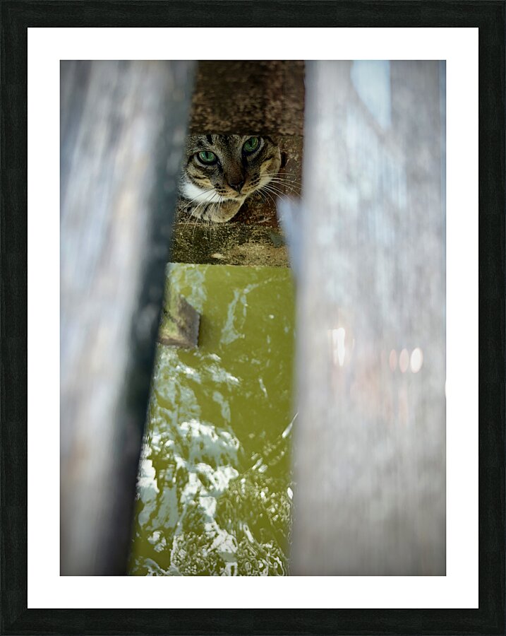 Kampong Ayer Floating Village Brunei 5 Impression et Cadre photo
