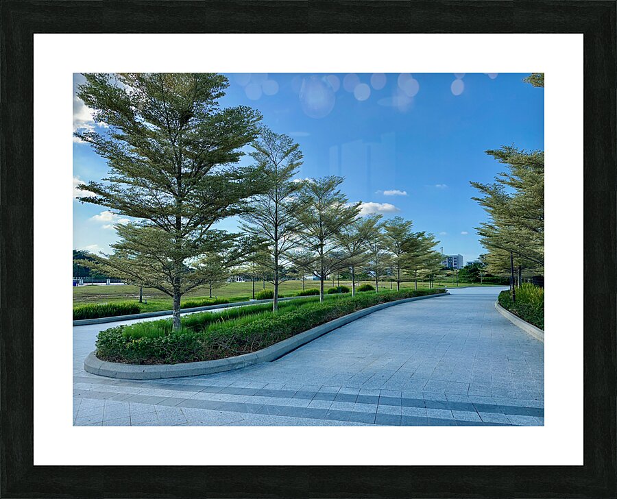 Park in Bandar Seri Begawan Brunei Picture Frame print