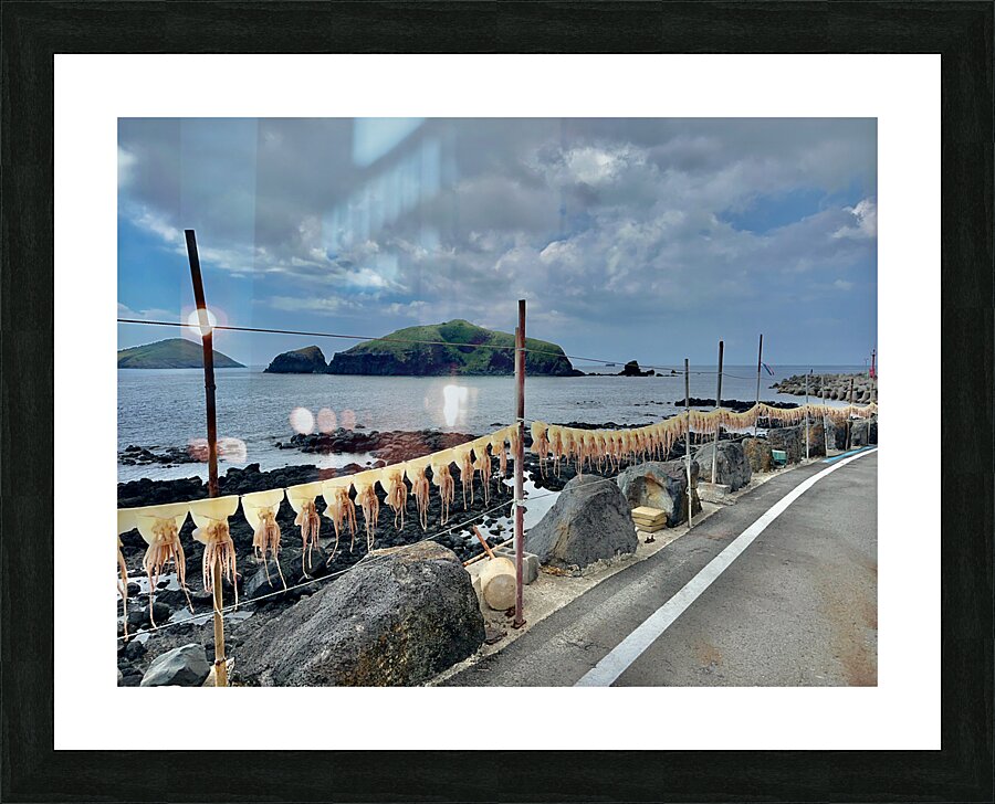 Squids on the Line Jeju South Korea Picture Frame print