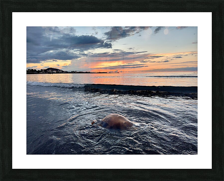 Samyang Beach Sunset Jeju South Korea 6 Picture Frame print