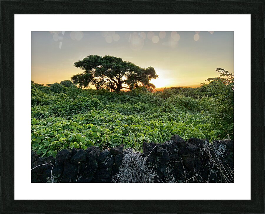 The Sunset Behind Jeju South Korea Picture Frame print
