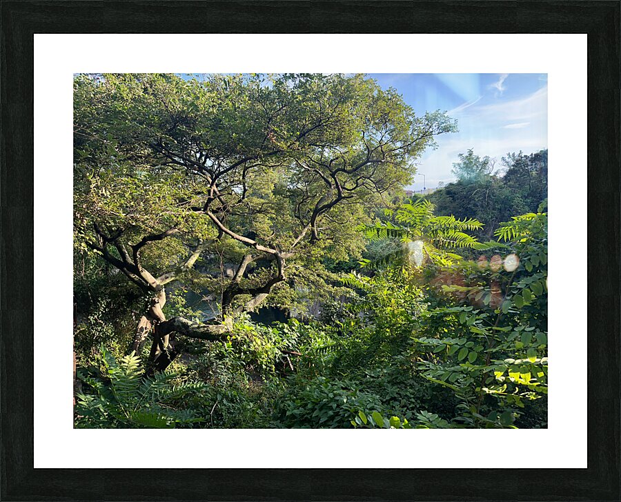 Around Jeju City South Korea 8 Picture Frame print