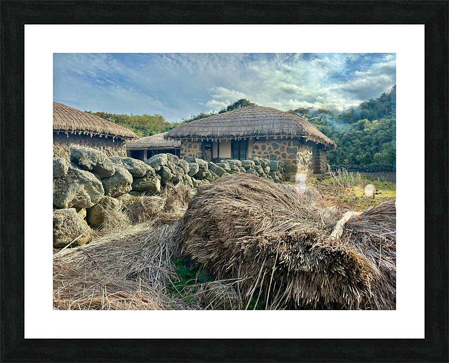 Stone Park Jeju South Korea 3 Impression et Cadre photo