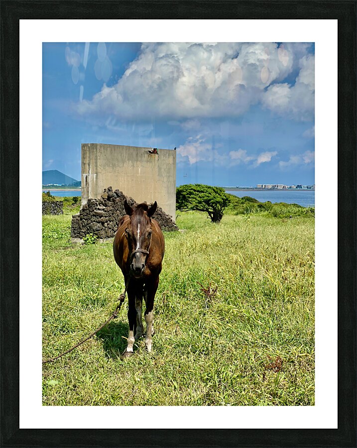 Seopjikoji Jeju South Korea 2 Picture Frame print