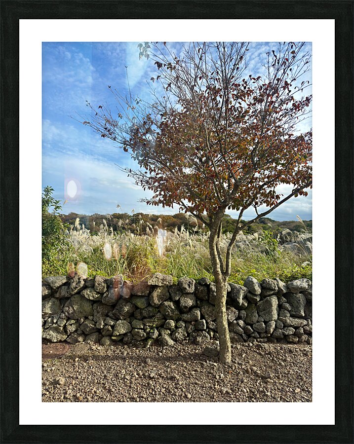 Stone Park Jeju South Korea 6 Picture Frame print