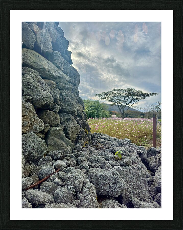Stone Park Jeju South Korea 7 Picture Frame print