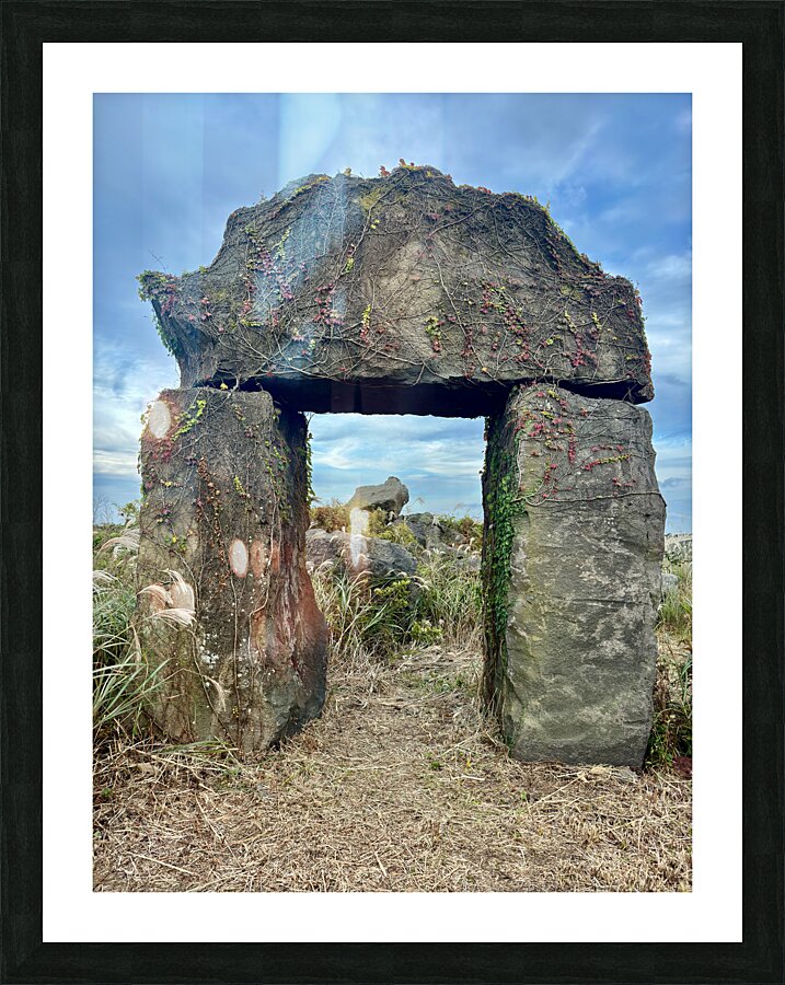 Stone Park Jeju South Korea 8 Picture Frame print