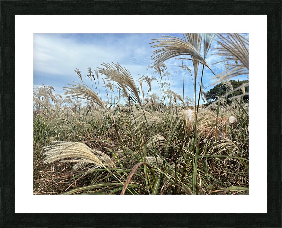Stone Park Jeju South Korea 1 Picture Frame print