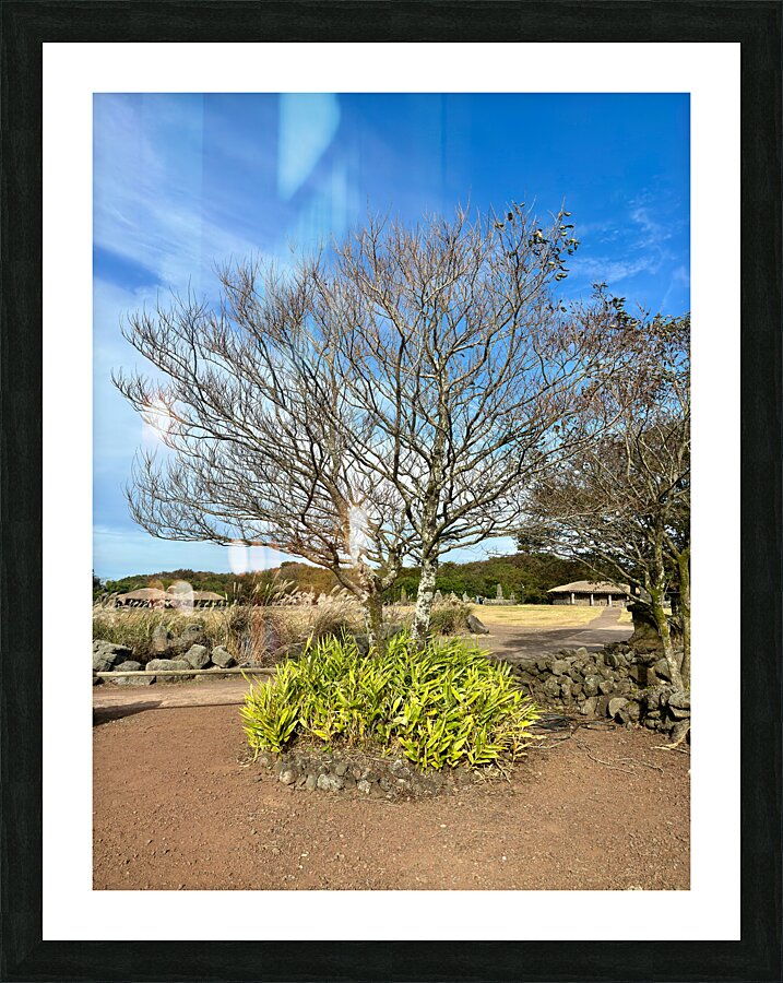 Stone Park Jeju South Korea 5 Picture Frame print