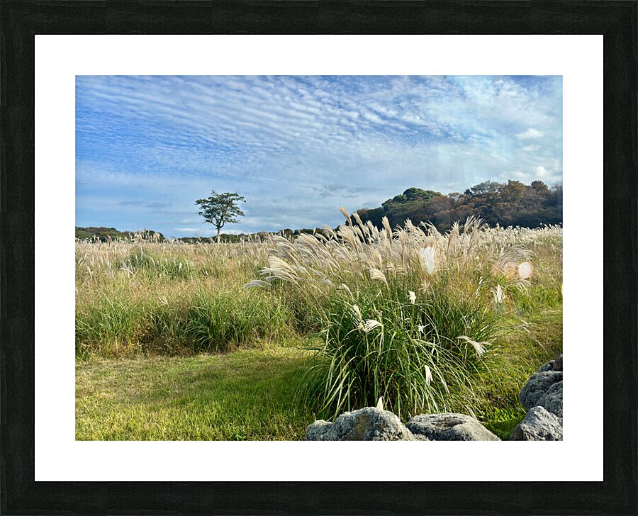Stone Park Jeju South Korea 2 Picture Frame print