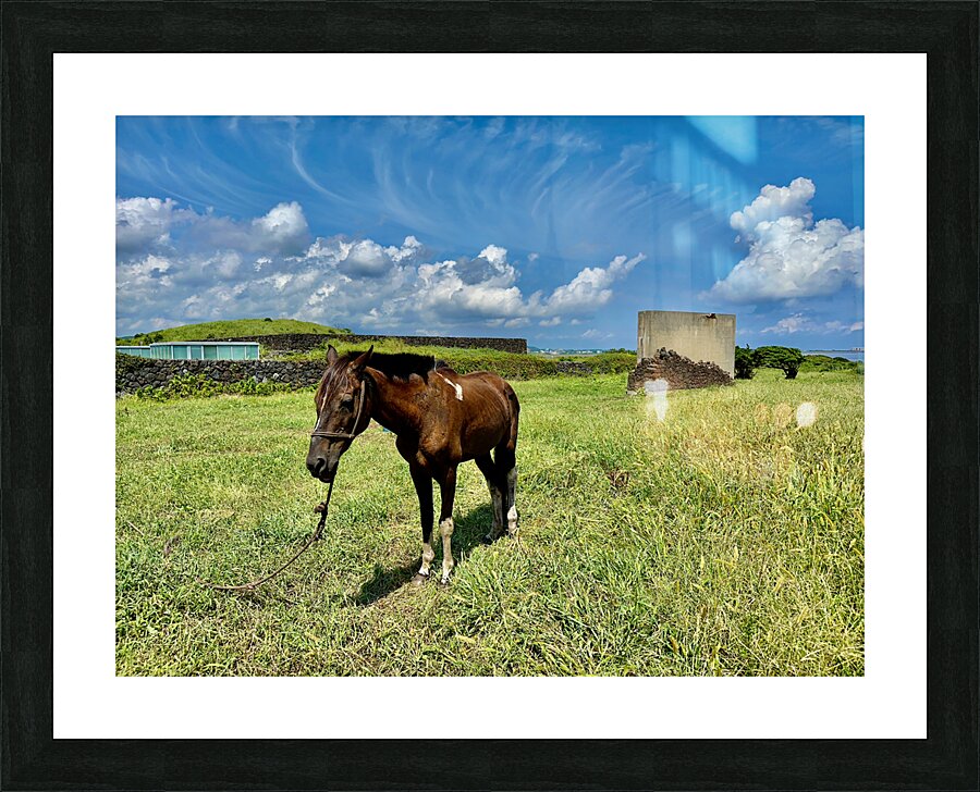 Seopjikoji Jeju South Korea 3 Picture Frame print