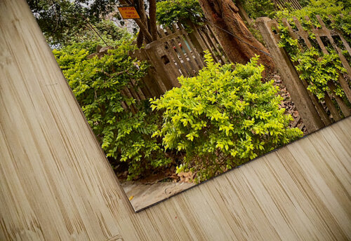 Red Flowers Gate Jimmy Roy Photos puzzle