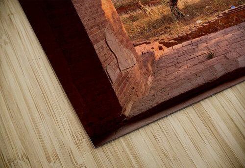 Tree by the window Jimmy Roy Photos puzzle