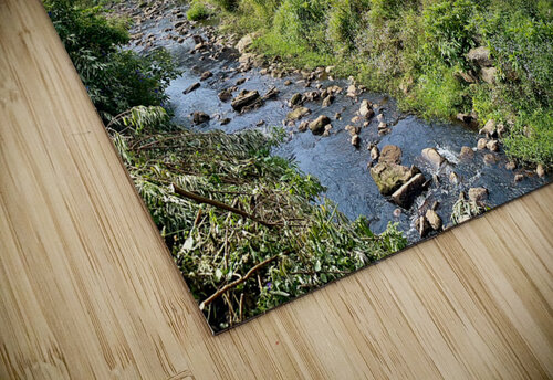 Living by the River Jimmy Roy Photos puzzle