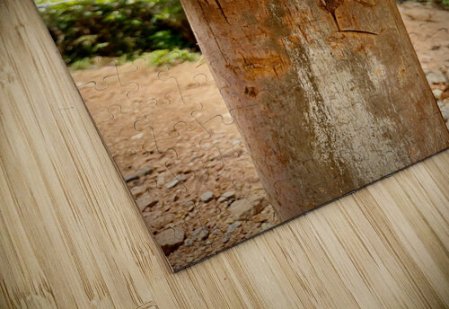 Coconut Knife 2 Jimmy Roy Photos puzzle