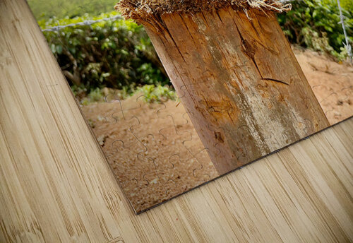 Coconut Knife Jimmy Roy Photos puzzle